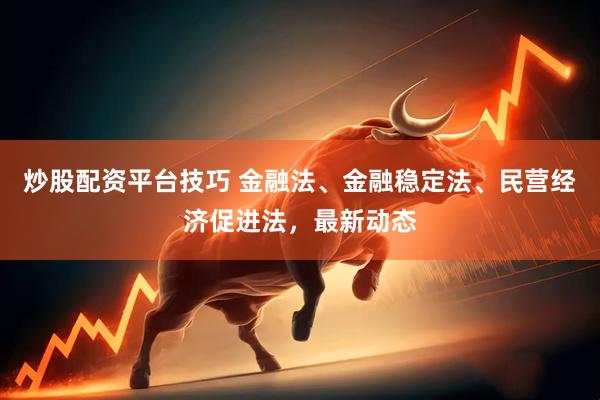 炒股配资平台技巧 金融法、金融稳定法、民营经济促进法，最新动态