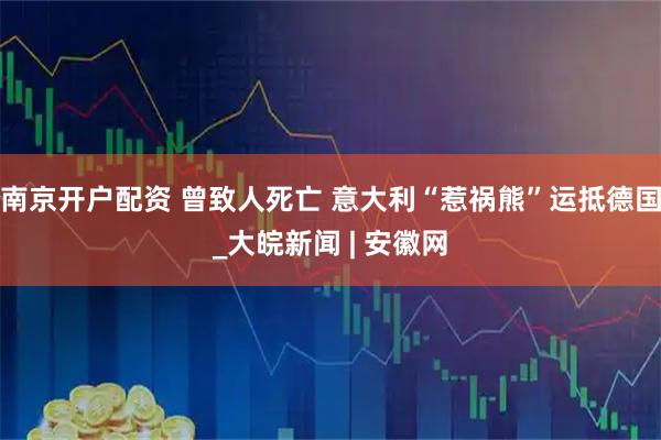 南京开户配资 曾致人死亡 意大利“惹祸熊”运抵德国_大皖新闻 | 安徽网